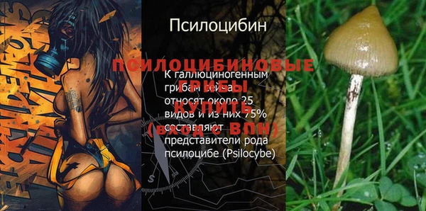 кокс Арсеньев