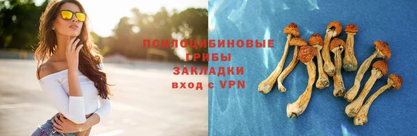 метадон Аркадак
